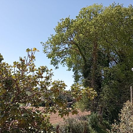 Апартаменты A Casa Do San Paio De Buscas Ордес Экстерьер фото